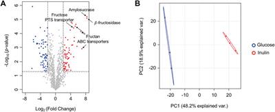 An Integrative Multiomics Approach to Characterize Prebiotic Inulin Effects on Faecalibacterium prausnitzii